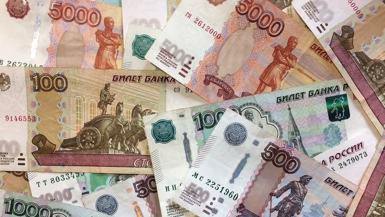 The Russian Ruble which is the currency used by travelers in Russia