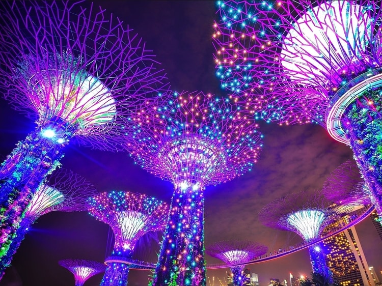 The Gardens by the Bay which is a top attraction for travelers in Singapore
