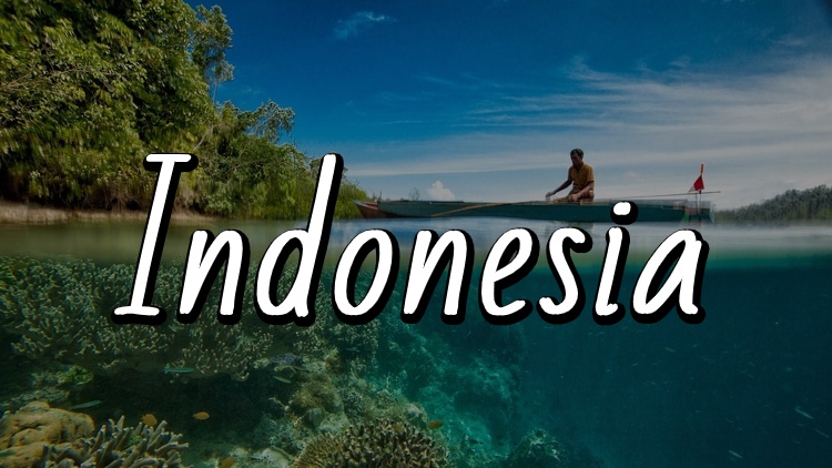 The Ultimate Travel Guide to Indonesia by Travel Done Simple