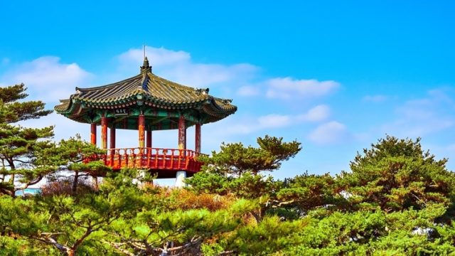 The Ultimate Travel Guide To South Korea - Travel Done Simple